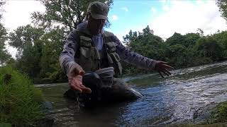 Pesca alla passata Cavedani di un'altra epoca