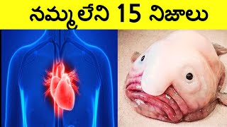 Top 15 Interesting Facts In Telugu | Amazing Telugu Facts | Unknown Telugu Facts Ep-80 |CTC Facts