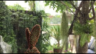 Relaxing piano music🔸 And the sound of rain outside the window