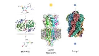 Abhishek Chatterjee, Boston College: A Novel Strategy to Probe Post-Translational Chemical... (2018)