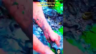 সূরা ইখলাস #shorts#short video#Islamic video#Islamic status #qurantilawat #suraikhlas #Islam#fishing