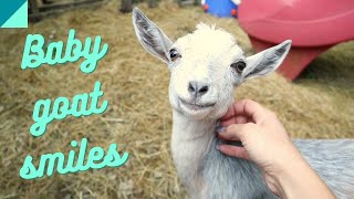 Friday Farm Vlog 115 Welcome to our channel