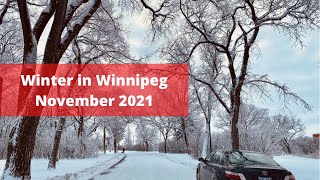 WINNIPEG Winter. Beautiful Winnipeg Winter Scene after Snow Storm. #winnipeg #manitoba #winter