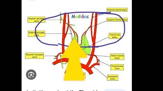 thyroid gland|neurology lectures|rafiullah past papers mcques|Fcps part-1 preparation forum