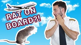 RAT On Board? | PilotAmireh Episode 4