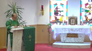 Homily -  Sunday, June 9, 2024 - St. Aidan Parish by Deacon Peter Lee