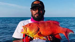 Lucky Fish Finder FF918 C From Maldives