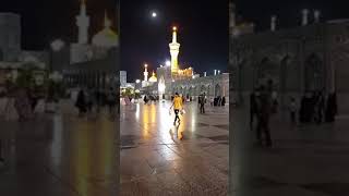 حرم الامام الرضا عليه السلام الان مشهد المقدسة