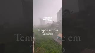 Tempestade em tubarão