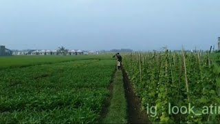 Mengajak Anak Bermain Ke Sawah