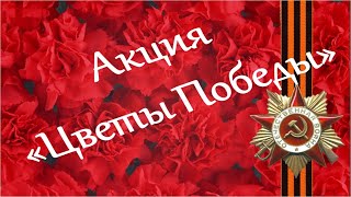 цветы победы