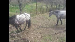 Bussole & Friends Periplo del Monte Clemo