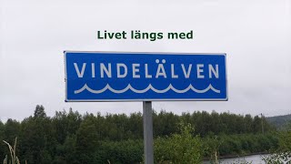 Livet längs med vindelälven