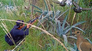 Práctica de Caza de Palomas con la Artemis Sr1000s