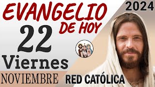 Evangelio de Hoy Viernes 22 de Noviembre de 2024 | REFLEXIÓN | Red Catolica