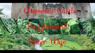 A glimpse of the Chepstow Castle / Puzzlewood Adventure / A Trail to River Wye