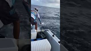 Wahoo Aboard Catch N Bills (San pedro Belize)