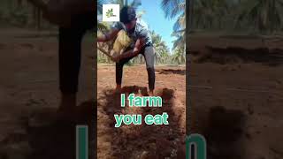 #viral #video #agri farming 3.0 #always #agriculture #farming #india #usa #magadi #subscribe