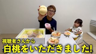 めっちゃ美味しい白桃をいただきました！