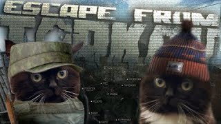 Разогнал бунт в Escape from Tarkov