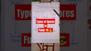 Trick To Learn Types of Spores In Fungi 😱🔥😎 #shorts #ytshort #neet #ncert