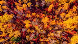 Autumn Majesty in North Cascades: Relaxing Video with Calming Nature Sounds