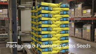 5202 Packaging & Palletizing Grass Seeds 10kg paper bags