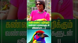 கண்ணைப் பறிக்கும் வண்ணப் பறவைகளுடன் விளையாட..! | #Yugamconnect  #Puthuyugamtv #Travelvlog