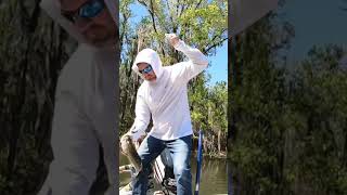 Flipping Texas rigged zoom speed craw #bassfishing #texasrig