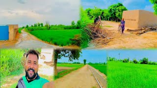 Pakistani Punjabi Village life||Daily vlog||Beautiful views after rain