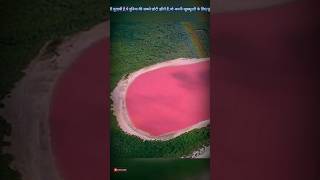 Lake Hillier | क्यों है इस झील का पानी गुलाबी  #pinklake #shorts #facts