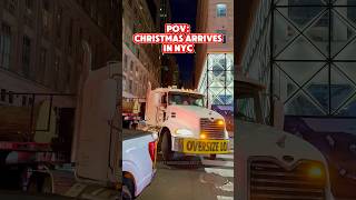 2024 Rockefeller Christmas Tree Arrives