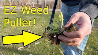 GOBESTRY Weed Puller: Precision in Weed Control! Full Review 2024 #Sponsored