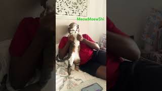 MeowMeowShi by kahani #hiphop #rap #meow