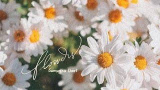 FLOWERS by Samantha Ebert | song lyrics