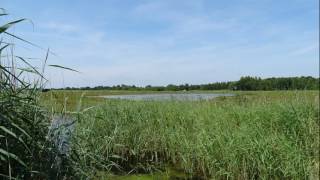 Menterwolde - De Heemtuin Muntendam