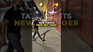 TATE FIGHTS New Pet TIGER 😱🐯