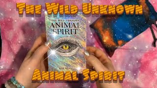 THE WILD UNKNOWN ANIMAL SPIRIT🔮