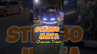 Strobo Mata Bis Shanum Trans #shorts #basuri #strobotruck