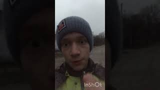 БУЗЮ ЗАДАВИЛО ДЕРИВО ❗️ДО КОНЦА❗️#shorts #морскаясвинка #свинкабузя #бузя #subscribe