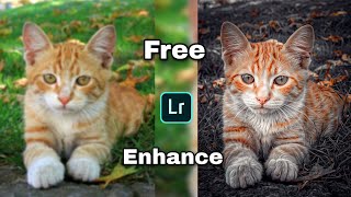 How To Enhance Photo Quality Using Ai For Free || Free Ai Tools To Enhance Photo Quality