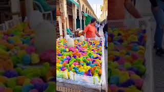 Colorful Baby Hen