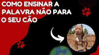 Como ensinar a palavra não para o seu cão