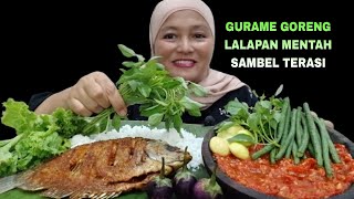 MAKAN LALAPAN MENTAH GURAME GORENG SAMBEL TERASI || MUKBANG INDONESIA MAKANAN SUNDA