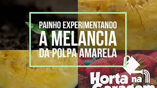 PAINHO EXPERIMENTANDO A MELANCIA DA POLPA AMARELA UMA DELÍCIA