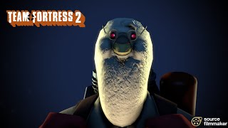 [TF2] Noot Noot