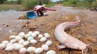 wow amazing,  a fisherman catch fish by hand skill today,  fishing on the road