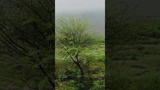 Brahmgiri mountain 🏔️ Trimbakeshwar Nashik 🚩#brahmagiri #monsoon #nashik #maharashtra #trimbkeshwar