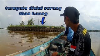 MANCING UDANG ‼️ TEPAT DISARANG IKAN BAUNG | Iyan Creator Channel