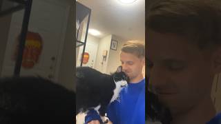 My cat has serious attachment issues 😒 #catvideo #cat #cats #funnycats #catlover